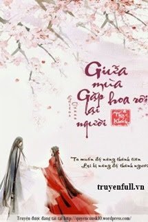 giua-mua-hoa-roi-gap-lai-nguoi